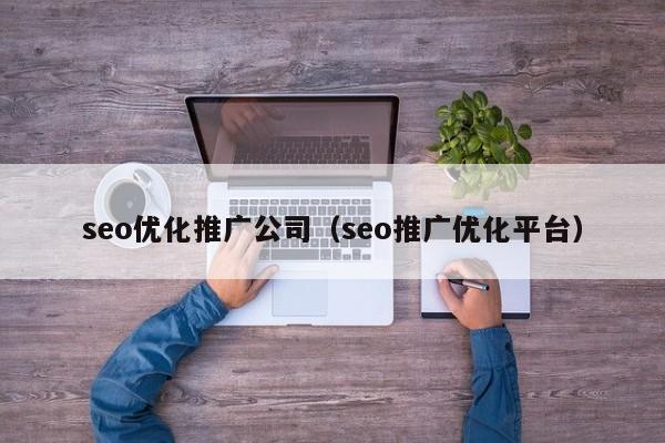 seo优化推广公司（seo推广优化平台）(图1)