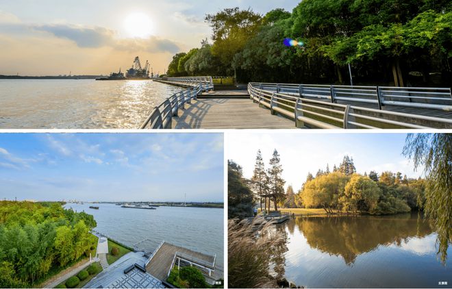 兰香湖贰号2024官方网站-闵行兰香湖贰号官方楼盘祥情-上海房天下(图7)
