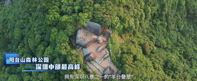星河星悦云邸2024官方网站-星河星悦云邸官方楼盘详情-深圳房天下(图4)