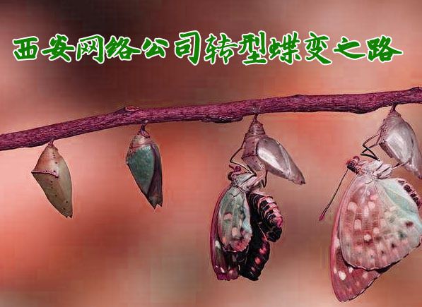 网站建设服务走向白菜价谈西安网络公司转型蝶变之路(图1)